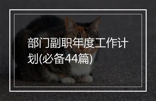 部门副职年度工作计划(必备44篇)