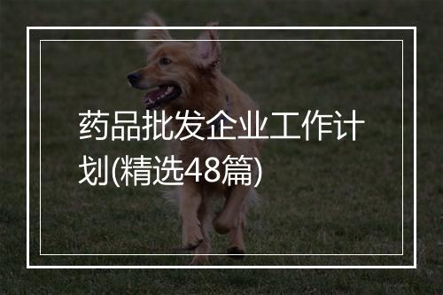 药品批发企业工作计划(精选48篇)
