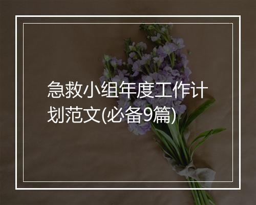 急救小组年度工作计划范文(必备9篇)