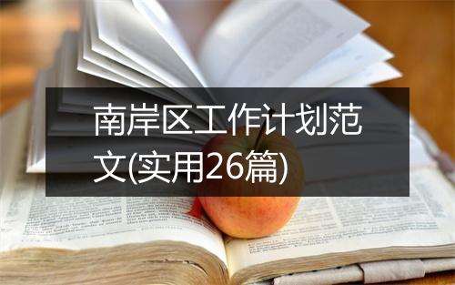 南岸区工作计划范文(实用26篇)