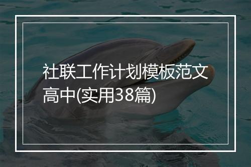 社联工作计划模板范文高中(实用38篇)