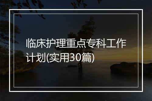 临床护理重点专科工作计划(实用30篇)