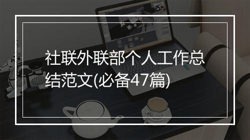 社联外联部个人工作总结范文(必备47篇)