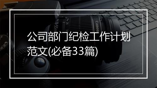 公司部门纪检工作计划范文(必备33篇)