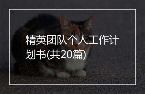 精英团队个人工作计划书(共20篇)