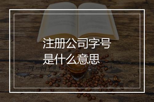 注册公司字号是什么意思