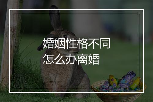 婚姻性格不同怎么办离婚