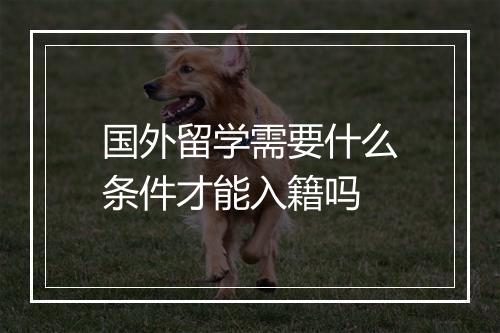 国外留学需要什么条件才能入籍吗