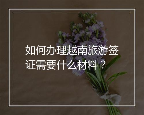 如何办理越南旅游签证需要什么材料？