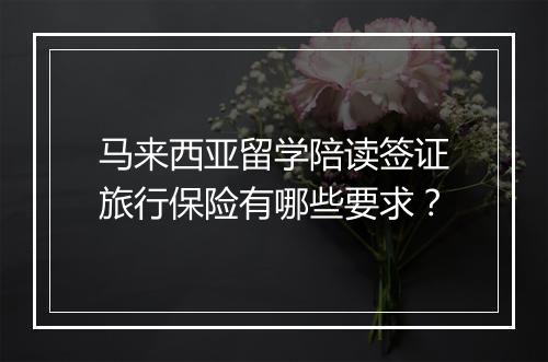 马来西亚留学陪读签证旅行保险有哪些要求？