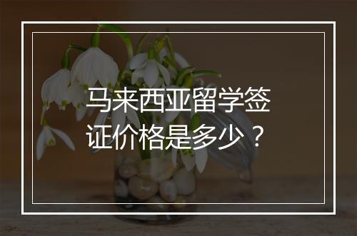 马来西亚留学签证价格是多少？