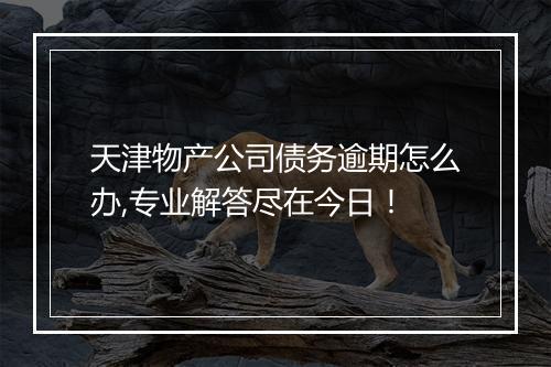 天津物产公司债务逾期怎么办,专业解答尽在今日！