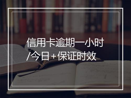 信用卡逾期一小时/今日+保证时效