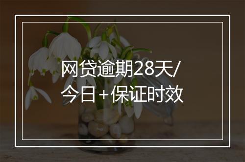网贷逾期28天/今日+保证时效