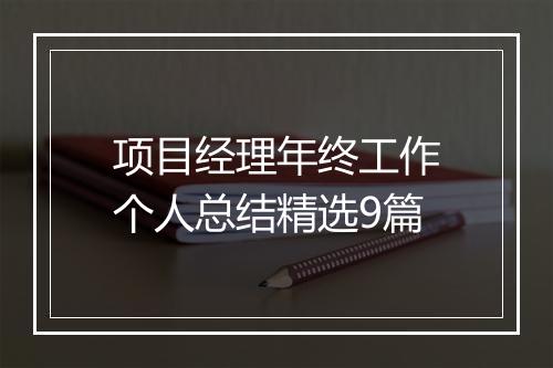 项目经理年终工作个人总结精选9篇