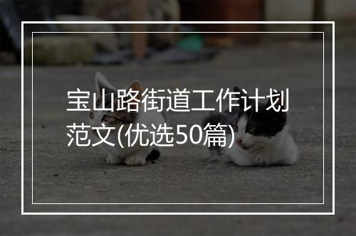 宝山路街道工作计划范文(优选50篇)