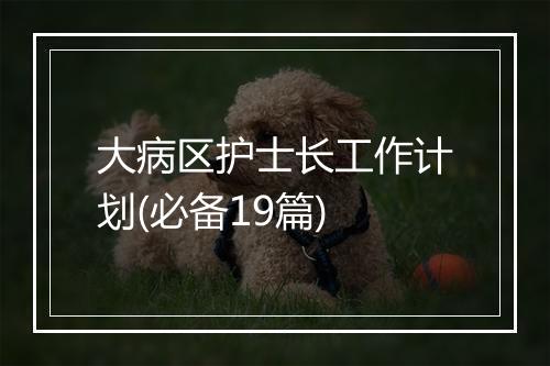 大病区护士长工作计划(必备19篇)