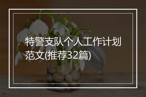 特警支队个人工作计划范文(推荐32篇)
