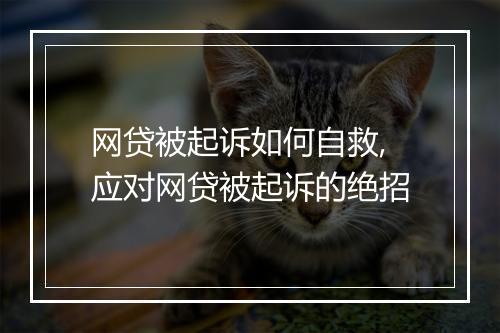 网贷被起诉如何自救,应对网贷被起诉的绝招