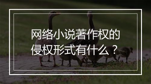 网络小说著作权的侵权形式有什么？