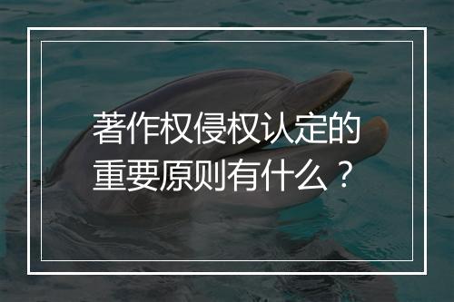 著作权侵权认定的重要原则有什么？