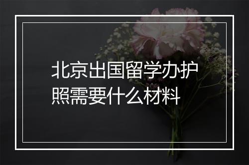 北京出国留学办护照需要什么材料