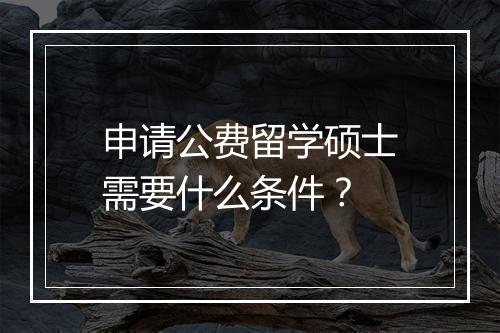 申请公费留学硕士需要什么条件？