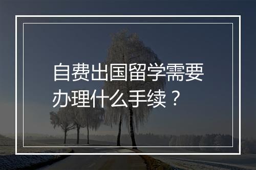 自费出国留学需要办理什么手续？