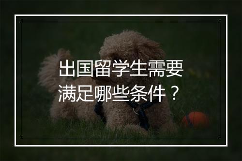 出国留学生需要满足哪些条件？
