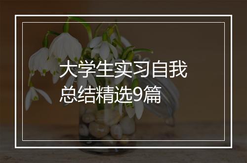 大学生实习自我总结精选9篇