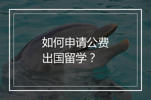 如何申请公费出国留学？