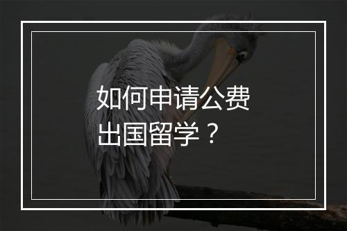 如何申请公费出国留学？