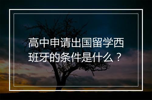 高中申请出国留学西班牙的条件是什么？