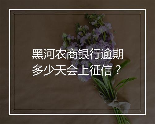 黑河农商银行逾期多少天会上征信？