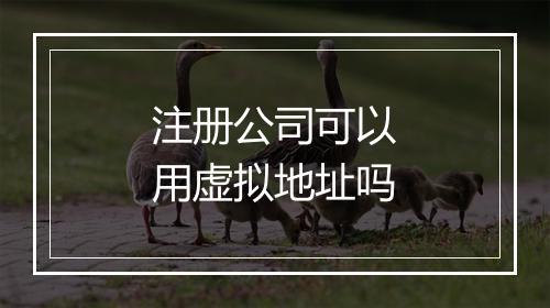 注册公司可以用虚拟地址吗