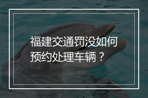 福建交通罚没如何预约处理车辆？