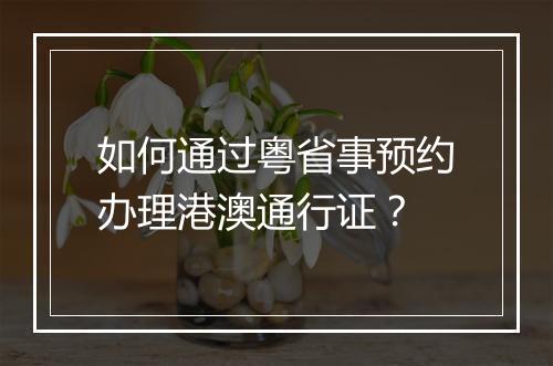 如何通过粤省事预约办理港澳通行证？
