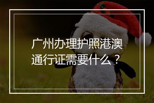 广州办理护照港澳通行证需要什么？