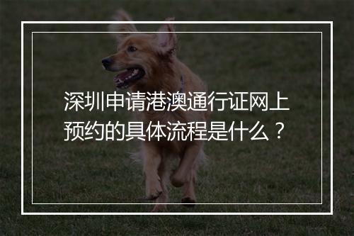 深圳申请港澳通行证网上预约的具体流程是什么？