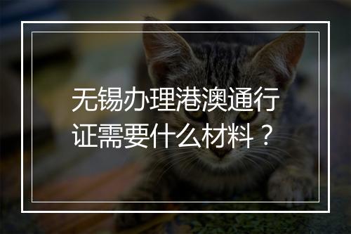 无锡办理港澳通行证需要什么材料？
