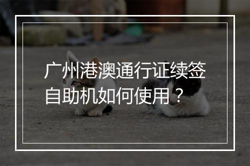 广州港澳通行证续签自助机如何使用？