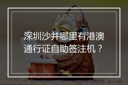 深圳沙井哪里有港澳通行证自助签注机？