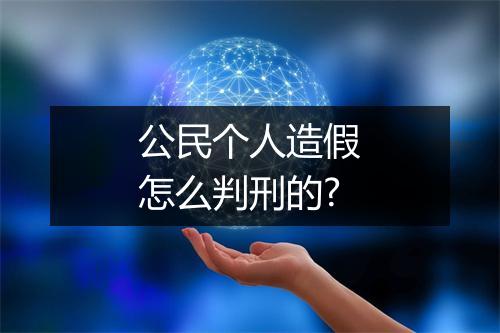 公民个人造假怎么判刑的?