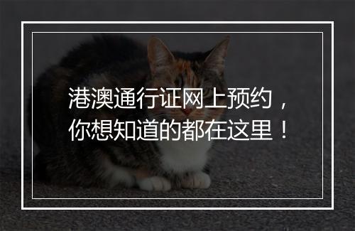 港澳通行证网上预约，你想知道的都在这里！