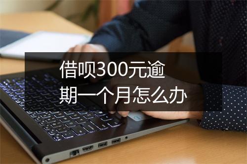 借呗300元逾期一个月怎么办