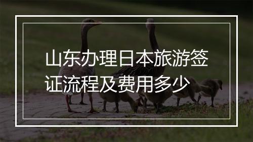 山东办理日本旅游签证流程及费用多少