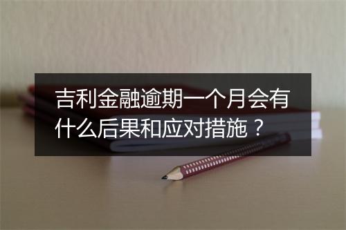 吉利金融逾期一个月会有什么后果和应对措施？