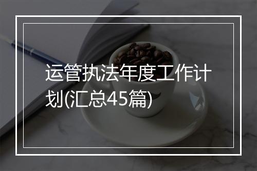 运管执法年度工作计划(汇总45篇)