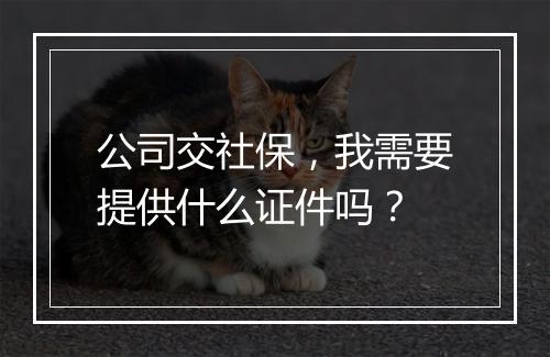公司交社保，我需要提供什么证件吗？