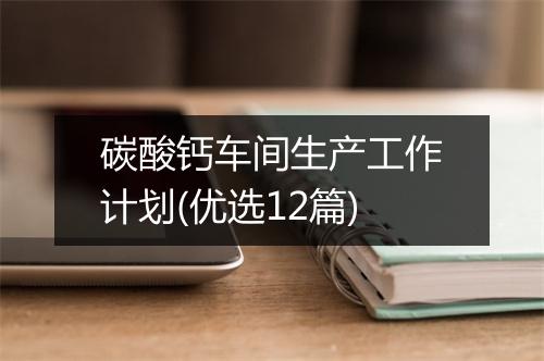 碳酸钙车间生产工作计划(优选12篇)